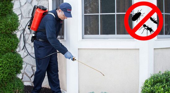 Doğanşehir Böcek ve Haşere İlaçlama böcek ilaçlama ve haşere kontrolü — ilaclama-tr.com